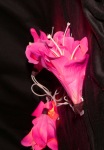 Pink Lily Flower Head - fairy lights